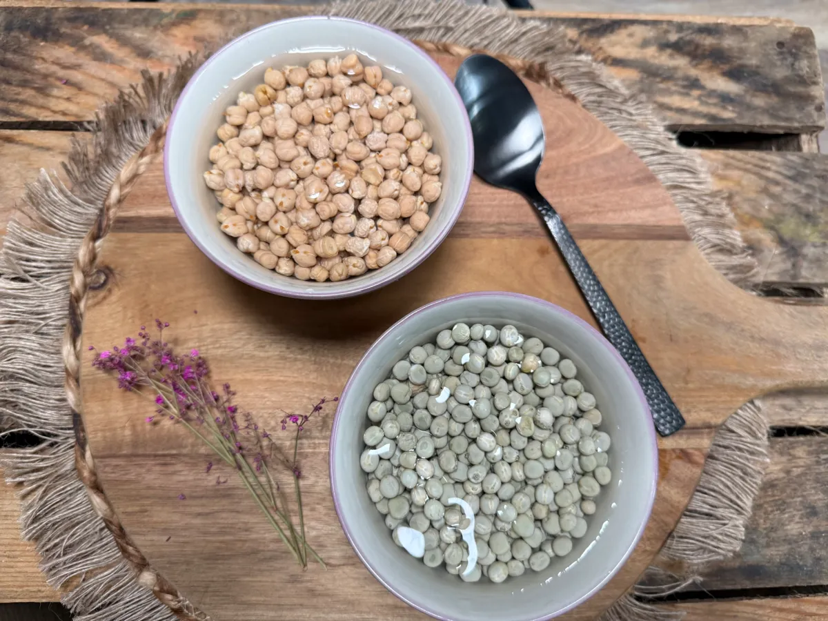 eingeweichte_Kichererbsen_und_Erbsen
