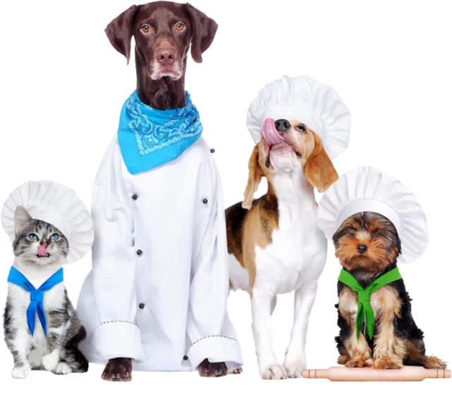 header_hunde_katzen_700